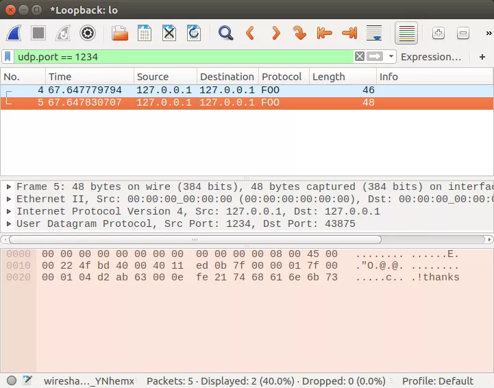 Foo showing in Wireshark's protocol column